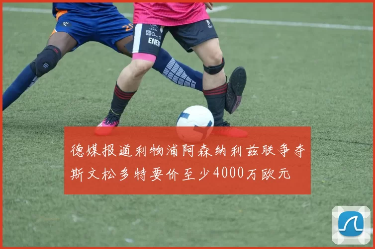 德媒报道利物浦阿森纳利兹联争夺斯文松多特要价至少4000万欧元